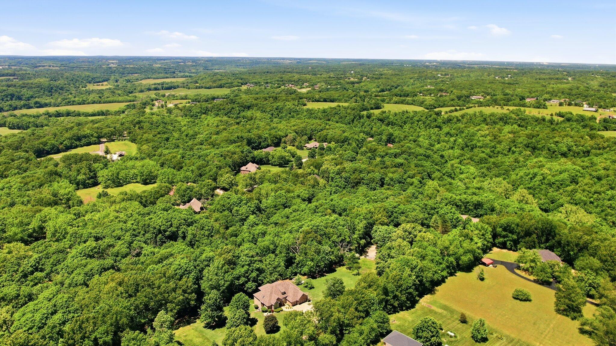 993 South Oak Ridge Road Nixa, MO 65714 - Photo 59 of 59 DJI_0617
