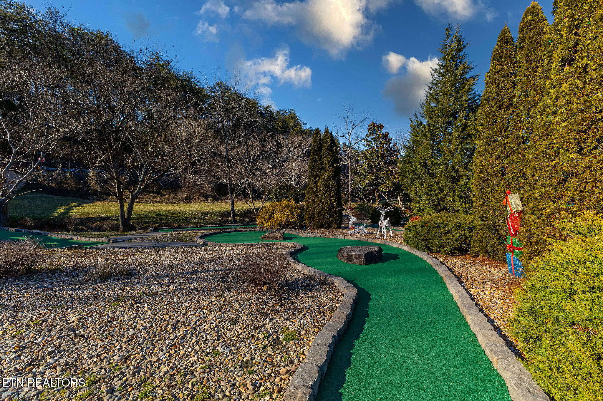 2004 Cougar Crossing Way Sevierville, TN 37876 - Photo 37 of 45 IMG_8903-HDR-Edit