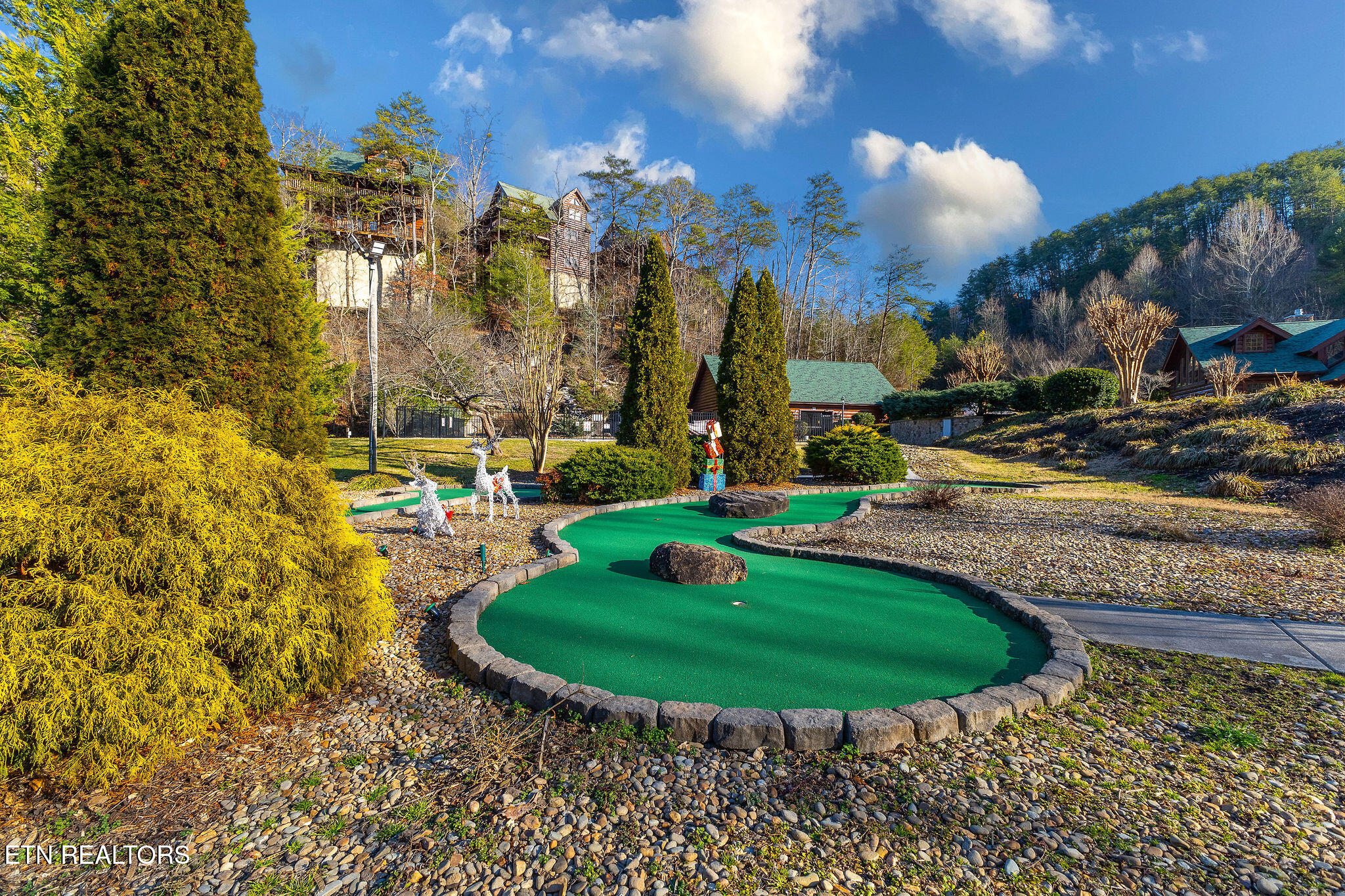 2004 Cougar Crossing Way Sevierville, TN 37876 - Photo 39 of 45 IMG_8918-HDR-Edit