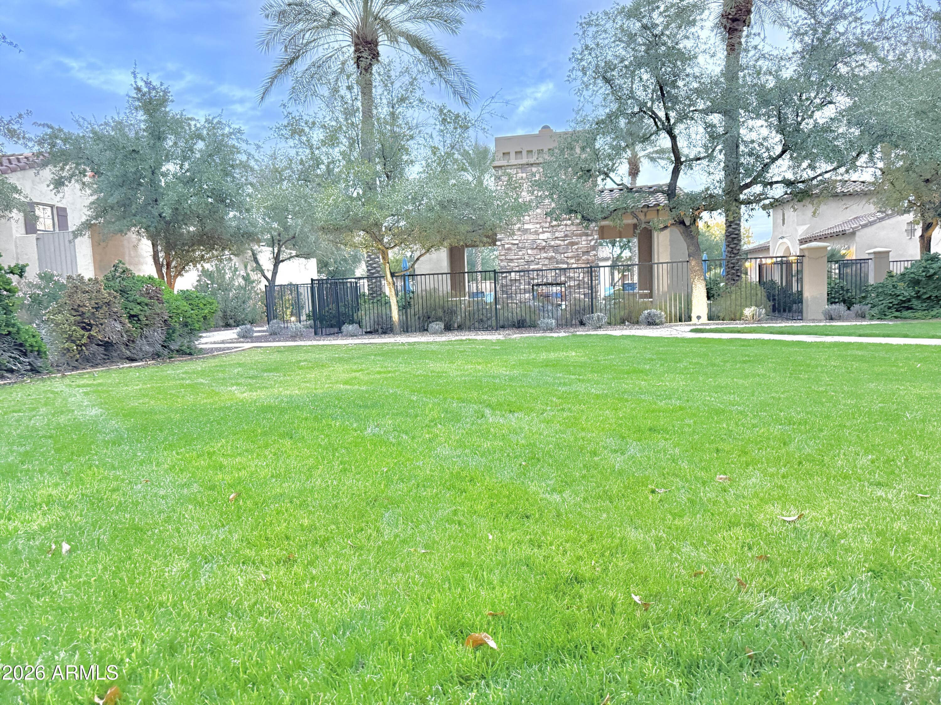 3467 North Hooper Street Buckeye, AZ 85396 - Photo 58 of 96 Green grass