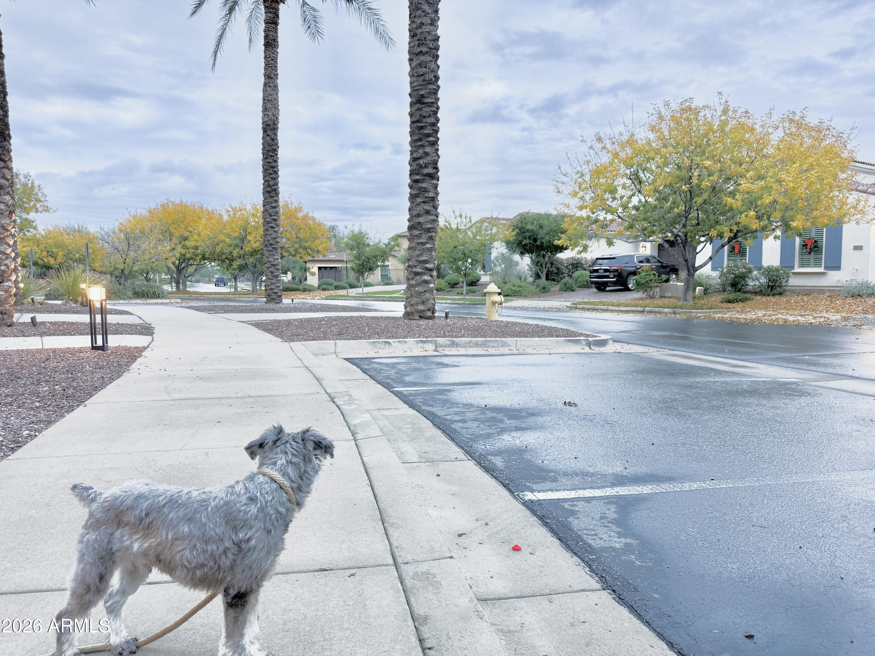 3467 North Hooper Street Buckeye, AZ 85396 - Photo 59 of 96 Street view