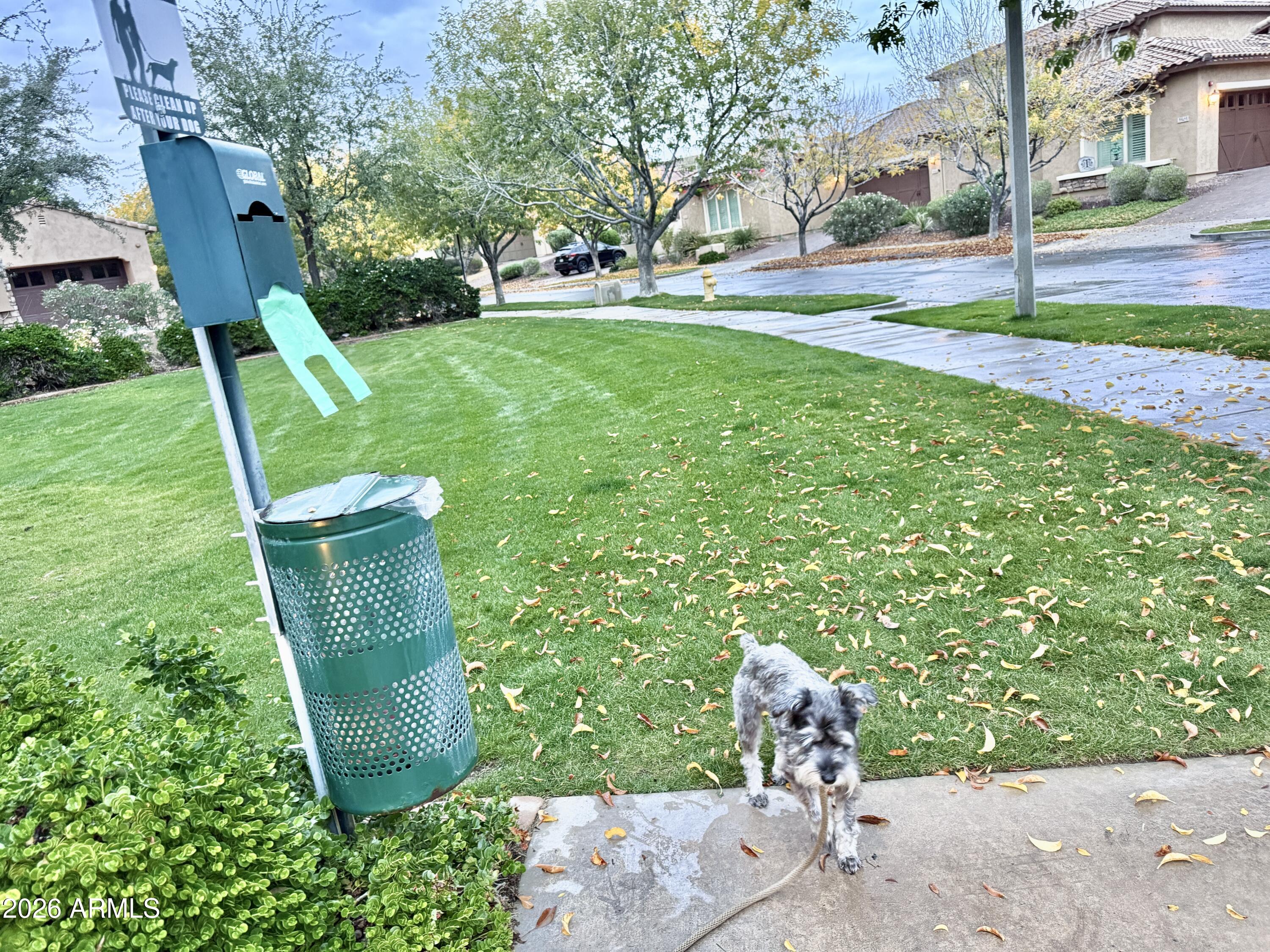 3467 North Hooper Street Buckeye, AZ 85396 - Photo 60 of 96 Dog station
