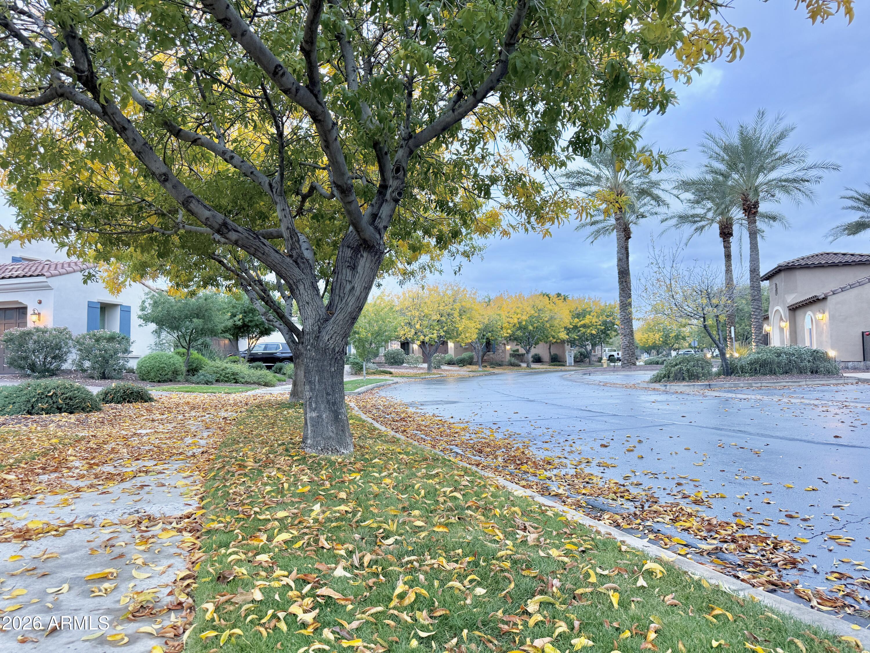 3467 North Hooper Street Buckeye, AZ 85396 - Photo 61 of 96 Street view