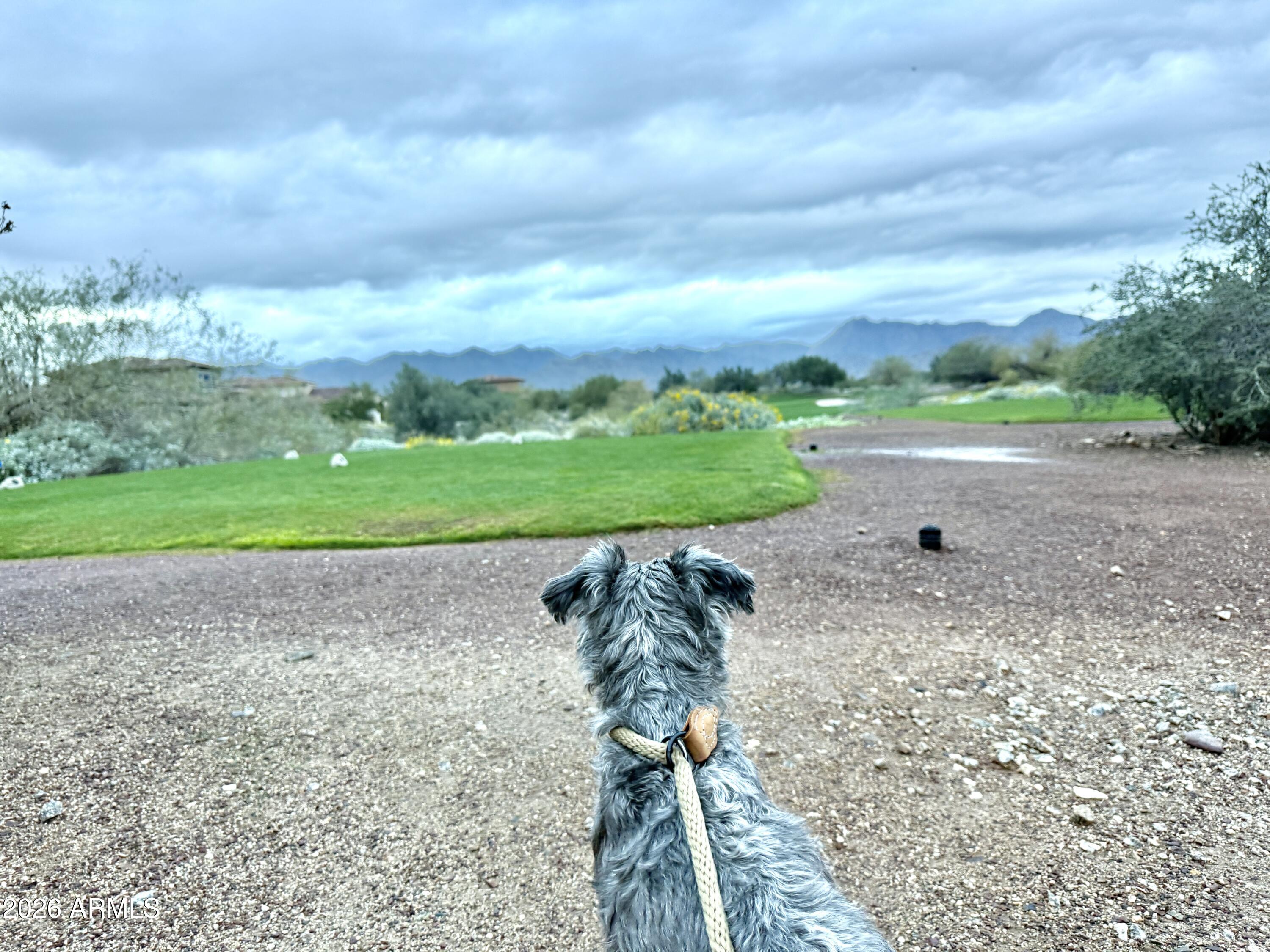 3467 North Hooper Street Buckeye, AZ 85396 - Photo 62 of 96 Golf course
