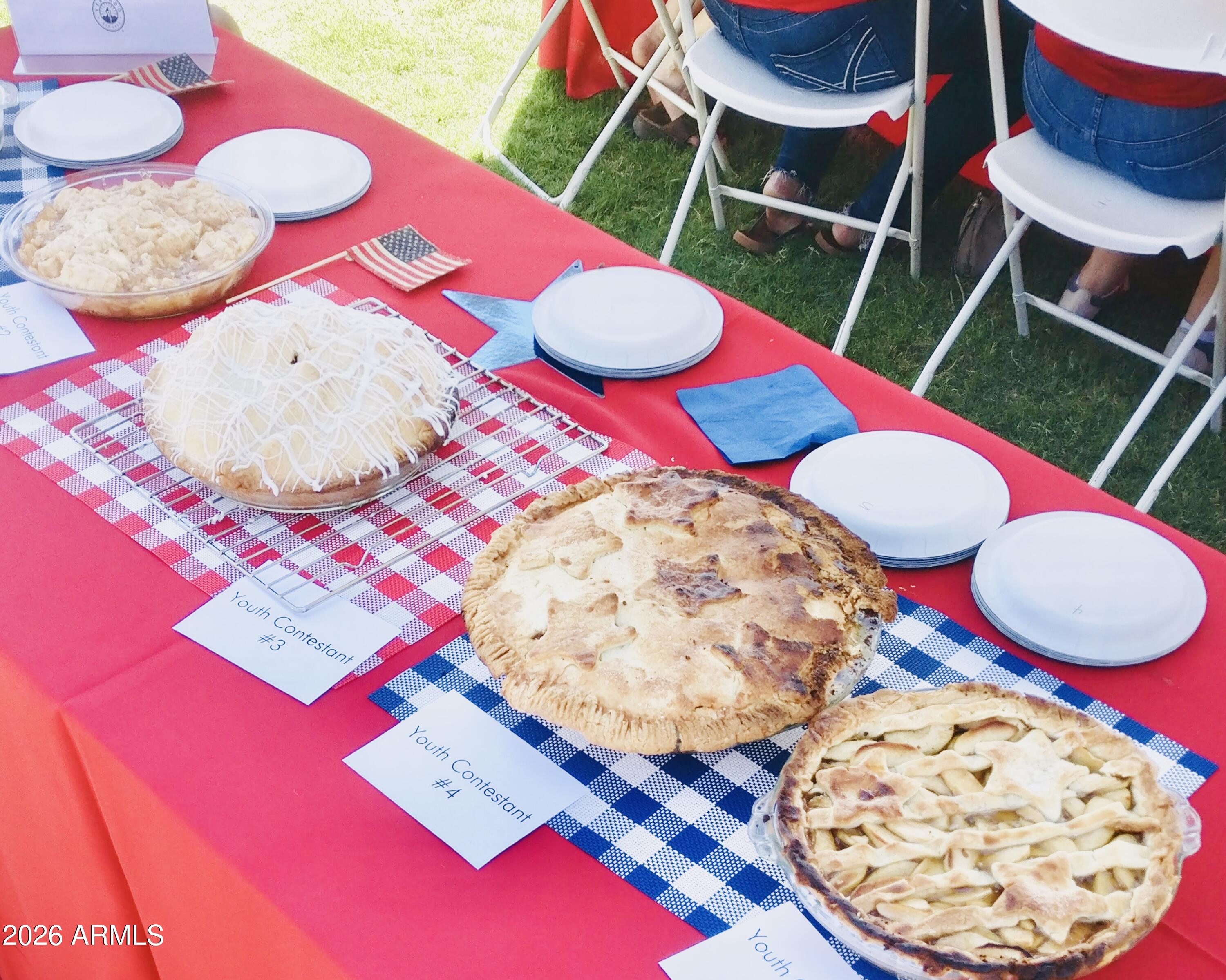 3467 North Hooper Street Buckeye, AZ 85396 - Photo 93 of 96 Festive July 4th community celebration