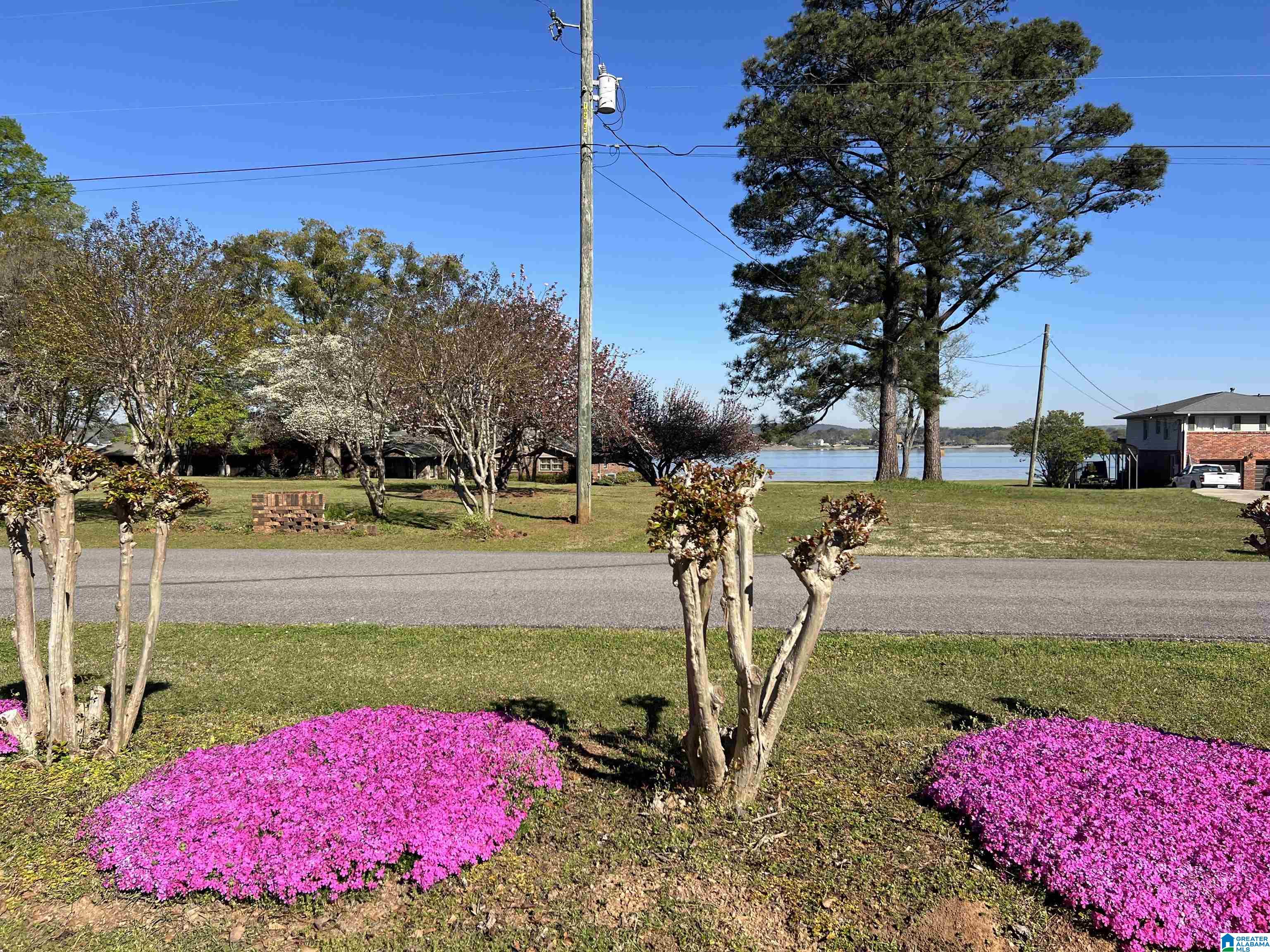 107 Viewpoint Circle Pell City, AL 35128 - Photo 4 of 44