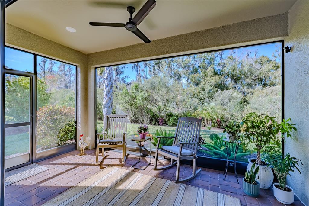 4407 Rosatti Road Wesley Chapel, FL 33543 - Photo 3 of 45