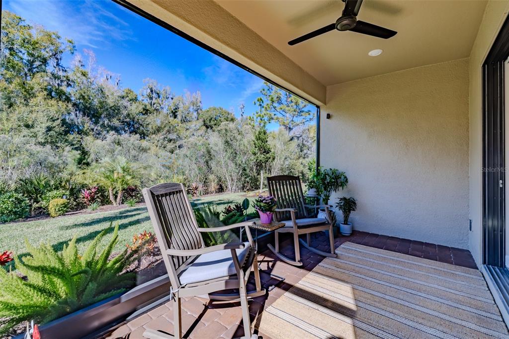 4407 Rosatti Road Wesley Chapel, FL 33543 - Photo 39 of 45