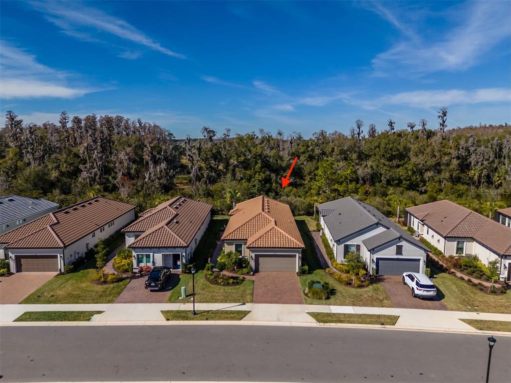 4407 Rosatti Road Wesley Chapel, FL 33543 - Photo 40 of 45