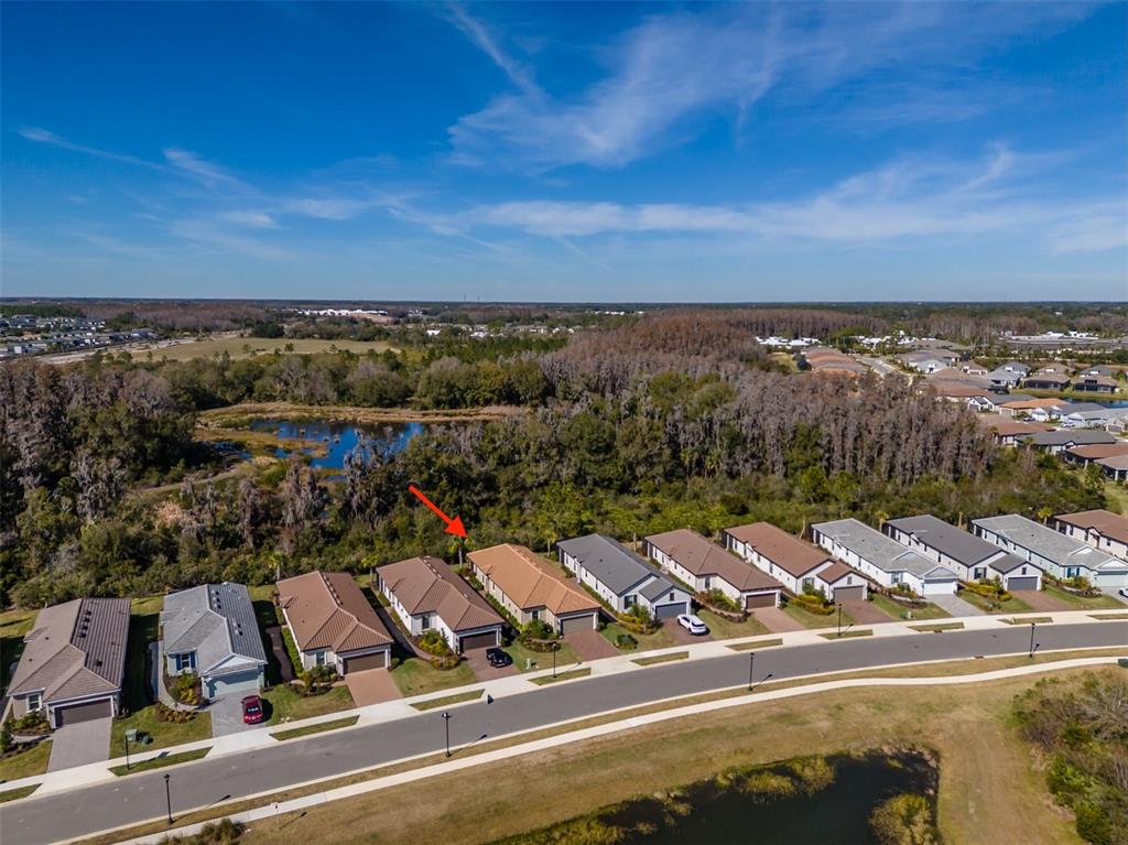 4407 Rosatti Road Wesley Chapel, FL 33543 - Photo 41 of 45