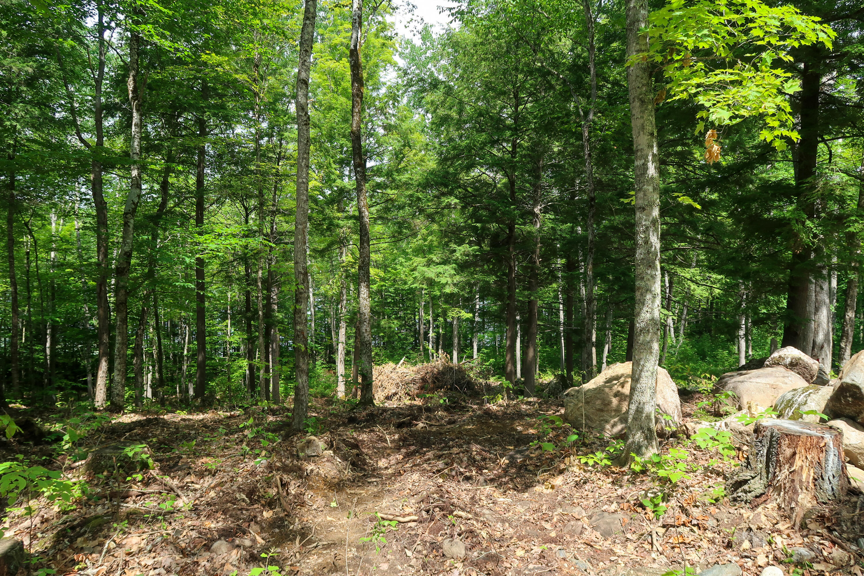 Tbd Powderhorn Road Jefferson, ME 04348 - Photo 2 of 16 IMG_6975