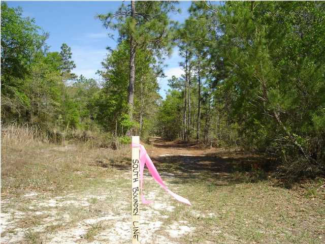 2380 McCall Bridge Road, Unit LOT 7 Quincy, FL 32351 - Photo 1 of 1 Gallery Image 1