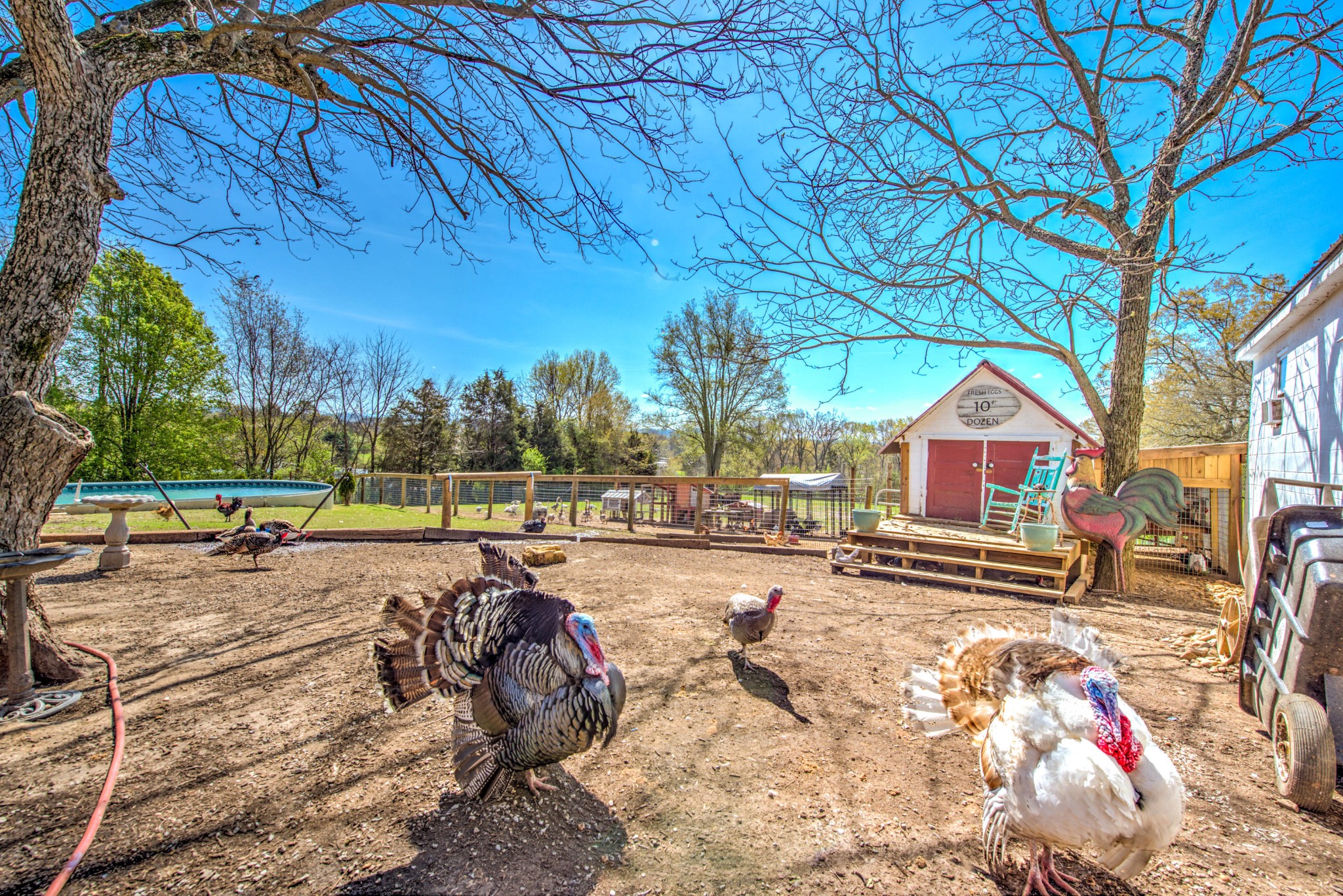 208 Key Kile Road Sweetwater, TN 37874 - Photo 34 of 40 Gallery Image 34