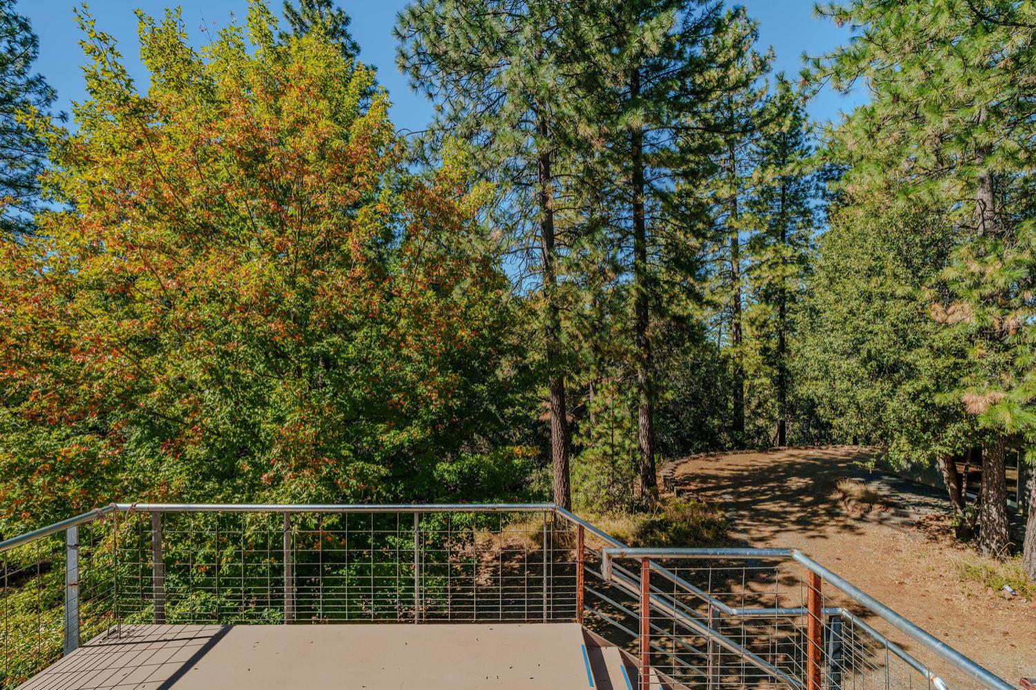 2400 Bald Mountain Road West Point, CA 95255 - Photo 52 of 98