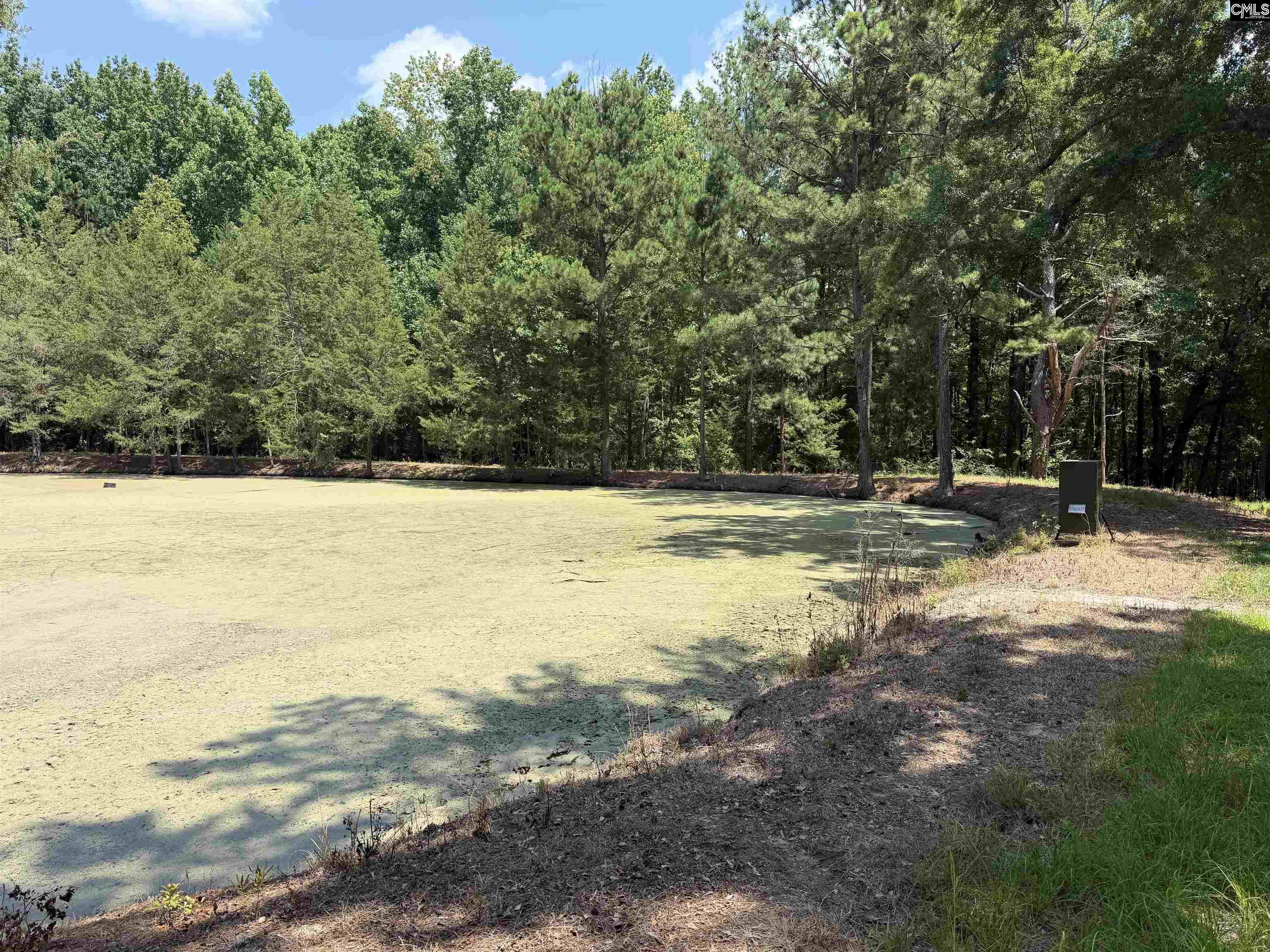 812 Sandfield Road Blythewood, SC 29016 - Photo 5 of 25