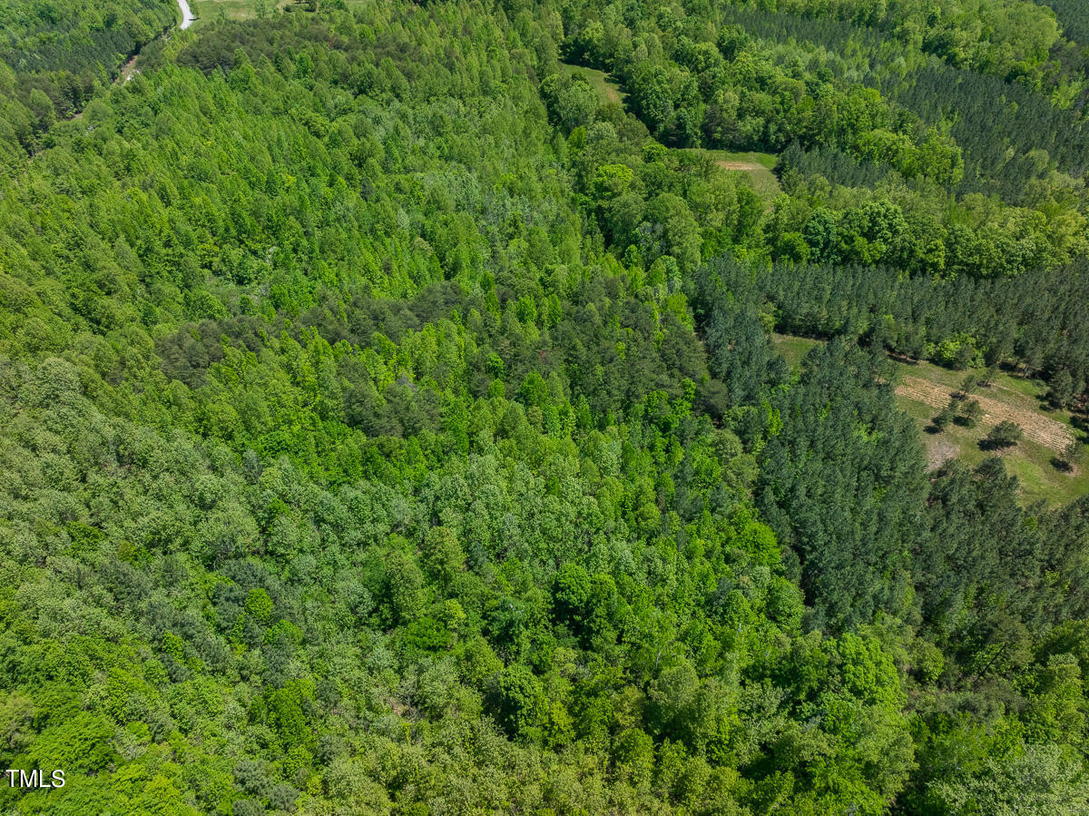 Lot-2-00 Wilson Road Providence, NC 27315 - Photo 28 of 39 Caswell Co. NC -Wilsons Ridge-Lot 2-28