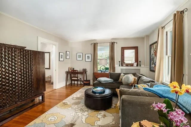 a living room with furniture and a potted plant