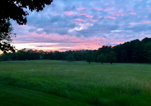 a view of an outdoor space and yard