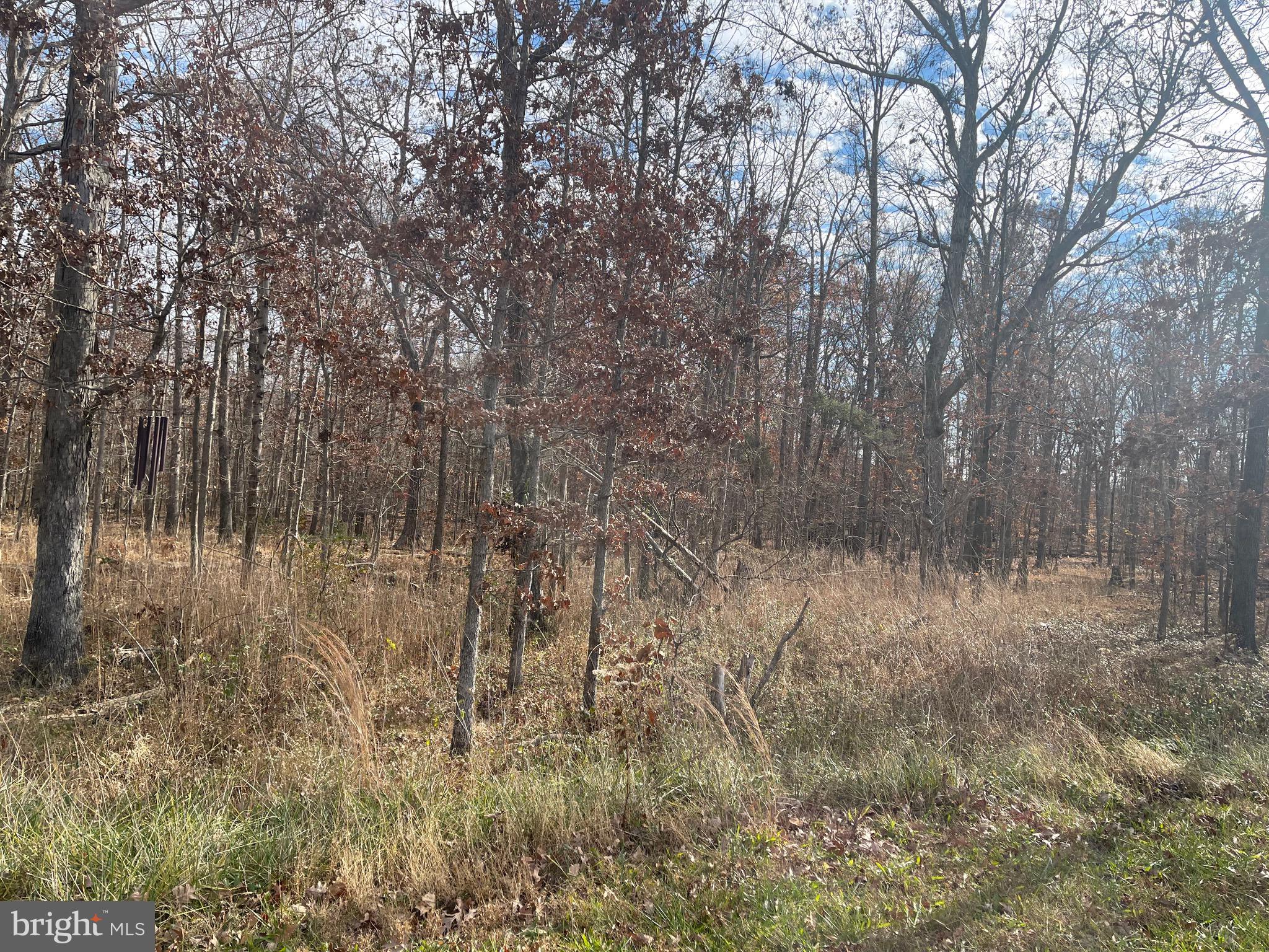 12325 Braddock Road Fairfax, VA 22030 - Photo 1 of 3 ALL WOODED LOT