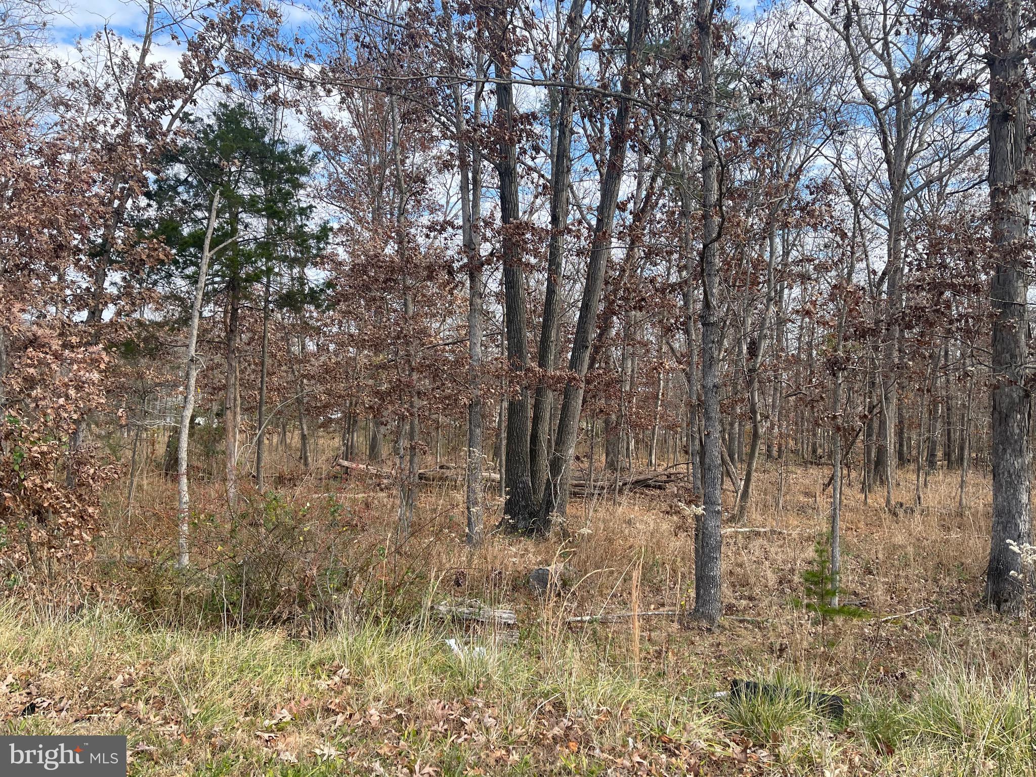 12325 Braddock Road Fairfax, VA 22030 - Photo 2 of 3 Gallery Image 2