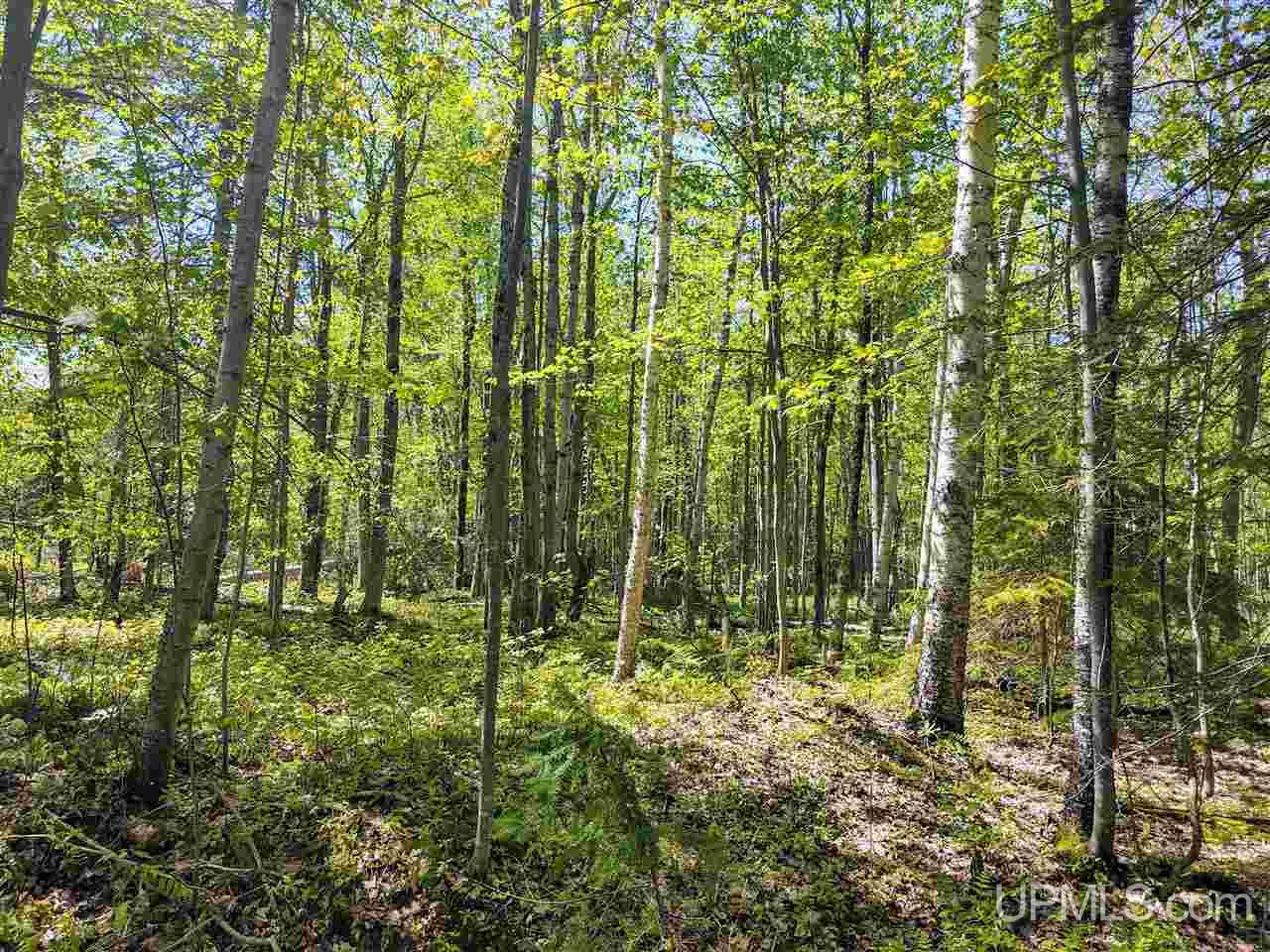 Tbd-parcel Point Abbaye Road Lanse, MI 49946 - Photo 7 of 25