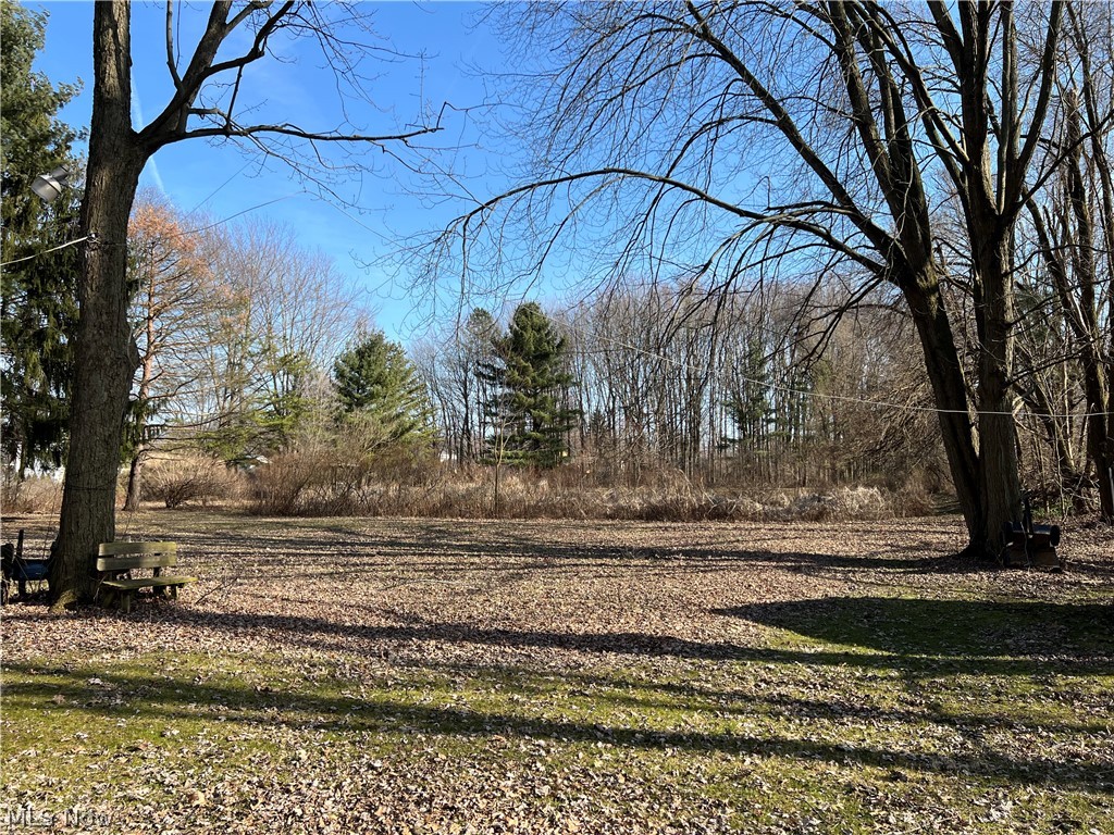34551 Lorain Road North Ridgeville, OH 44039 - Photo 18 of 22 View of yard