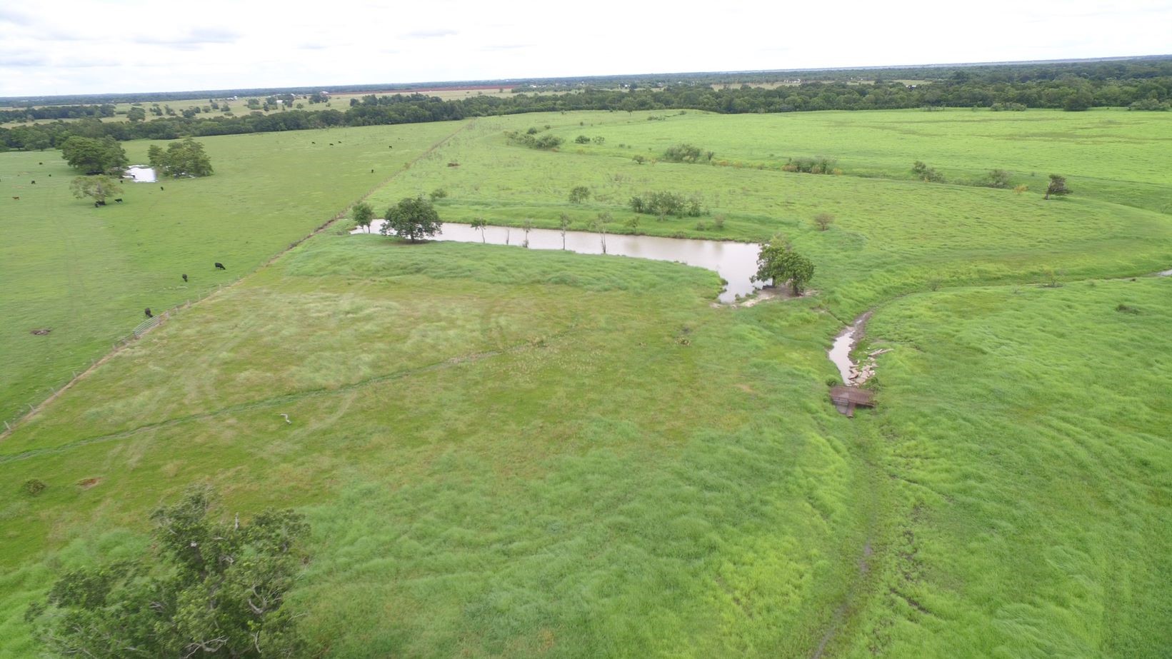 4950 Donaldson Road Wharton, TX 77488 - Photo 9 of 17 Looking SW toward CR 119