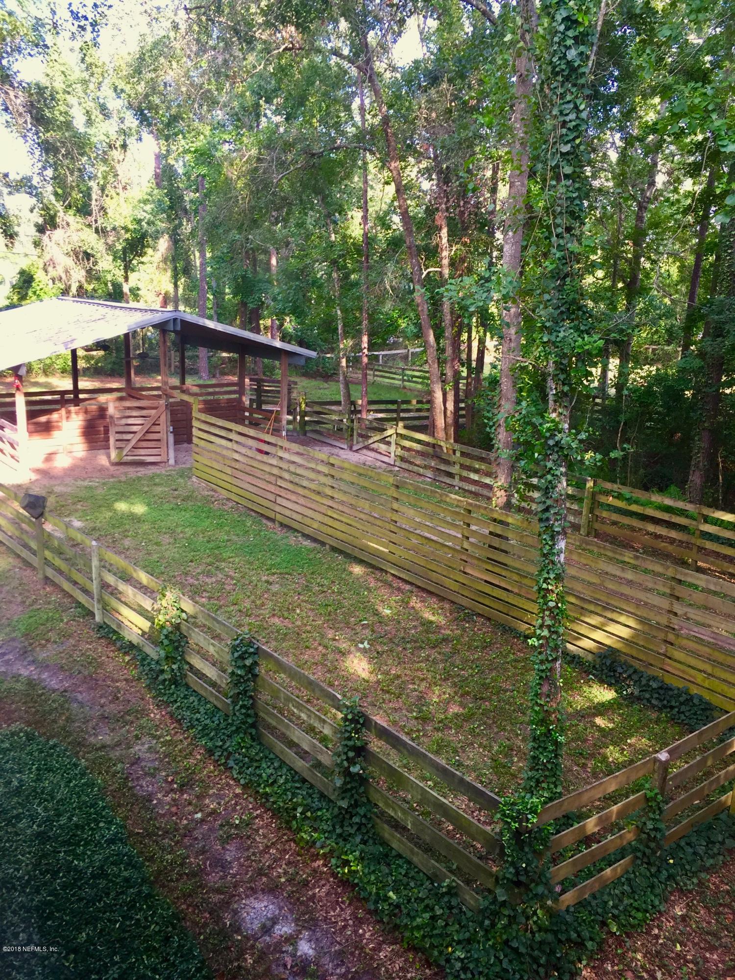 1341 Roberts Road St. Johns, FL 32259 - Photo 34 of 36 a view of yard