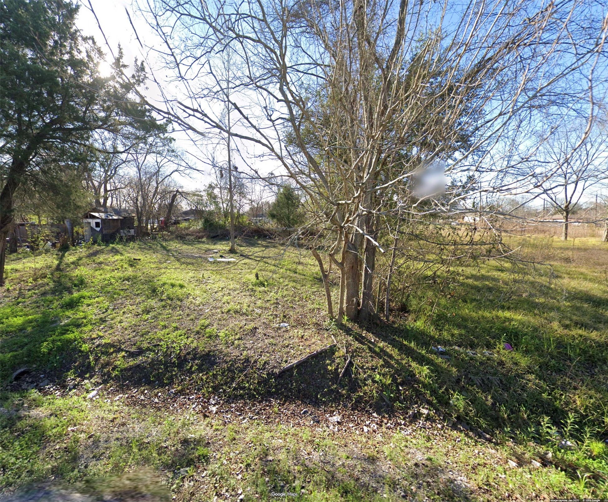 a view of outdoor space and tree