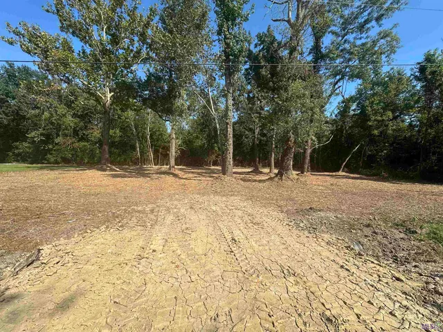 $35,000 | .53-acres Split Log Road, St. Amant, LA 70774