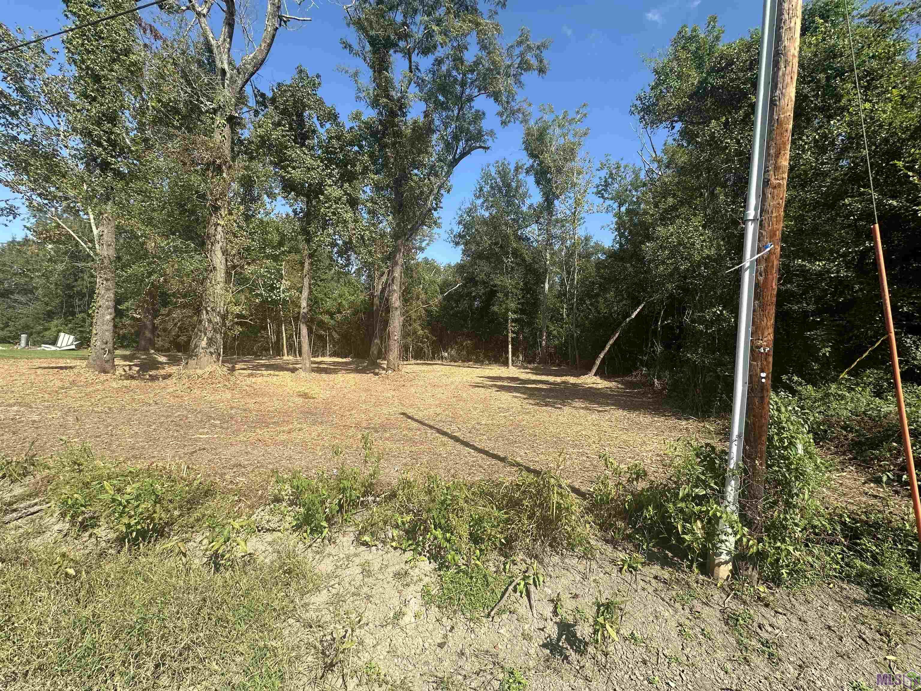 .53-acres Split Log Road St. Amant, LA 70774 - Photo 12 of 15