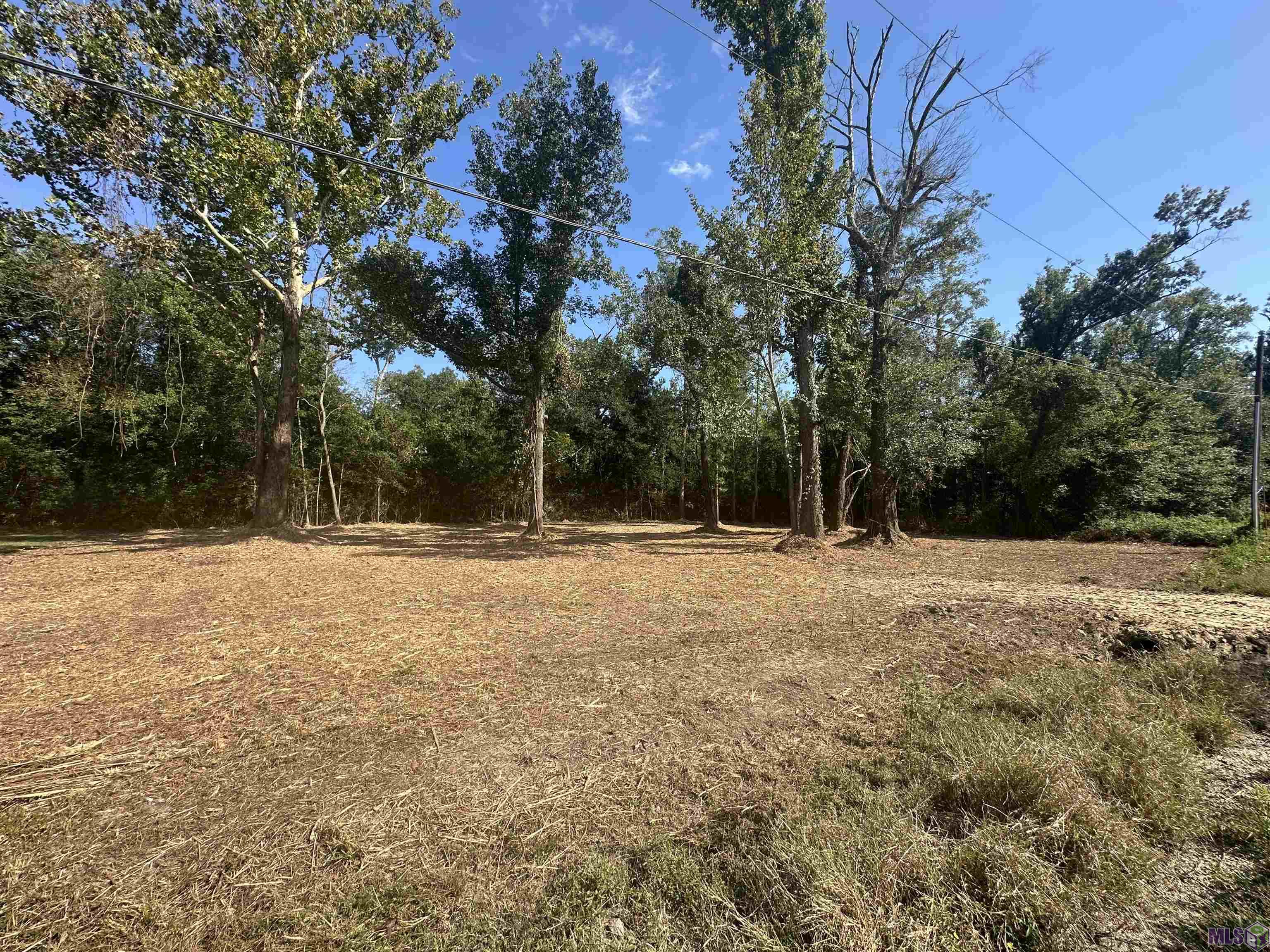 .53-acres Split Log Road St. Amant, LA 70774 - Photo 3 of 15