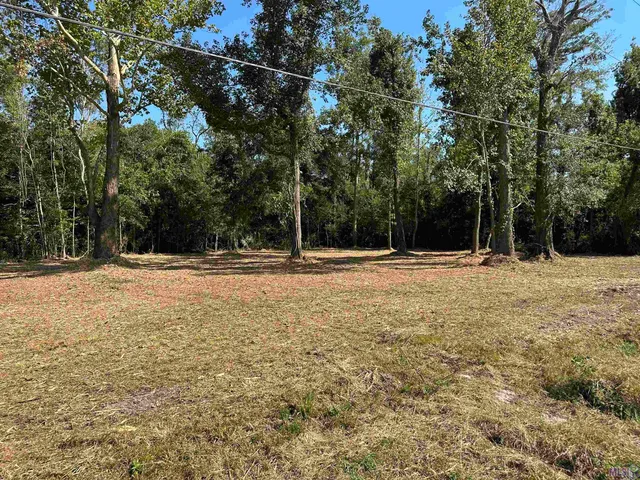 $35,000 | .53-acres Split Log Road, St. Amant, LA 70774