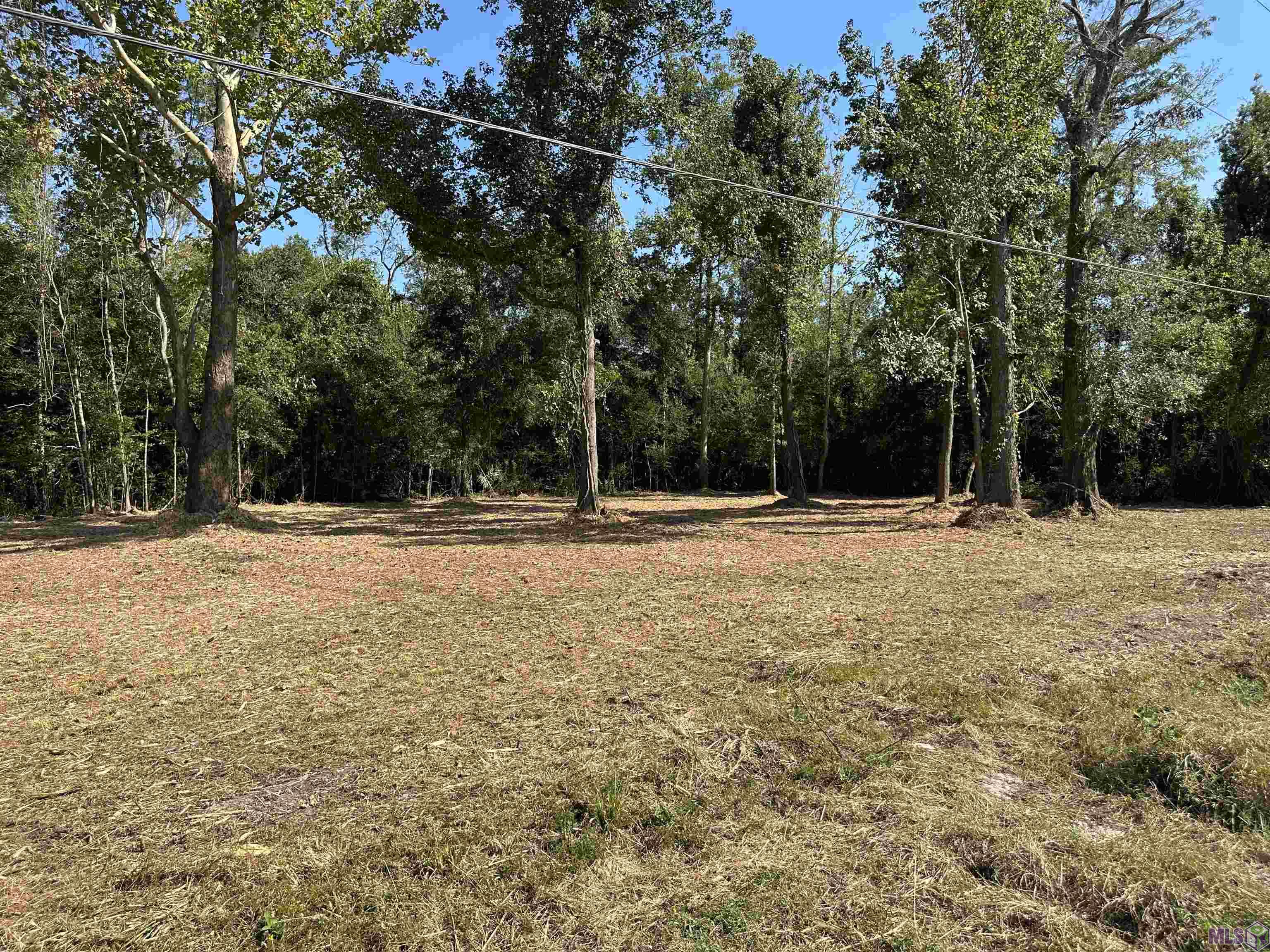 .53-acres Split Log Road St. Amant, LA 70774 - Photo 4 of 15