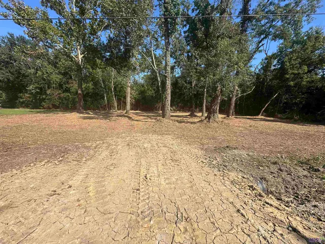 $35,000 | .53-acres Split Log Road, St. Amant, LA 70774