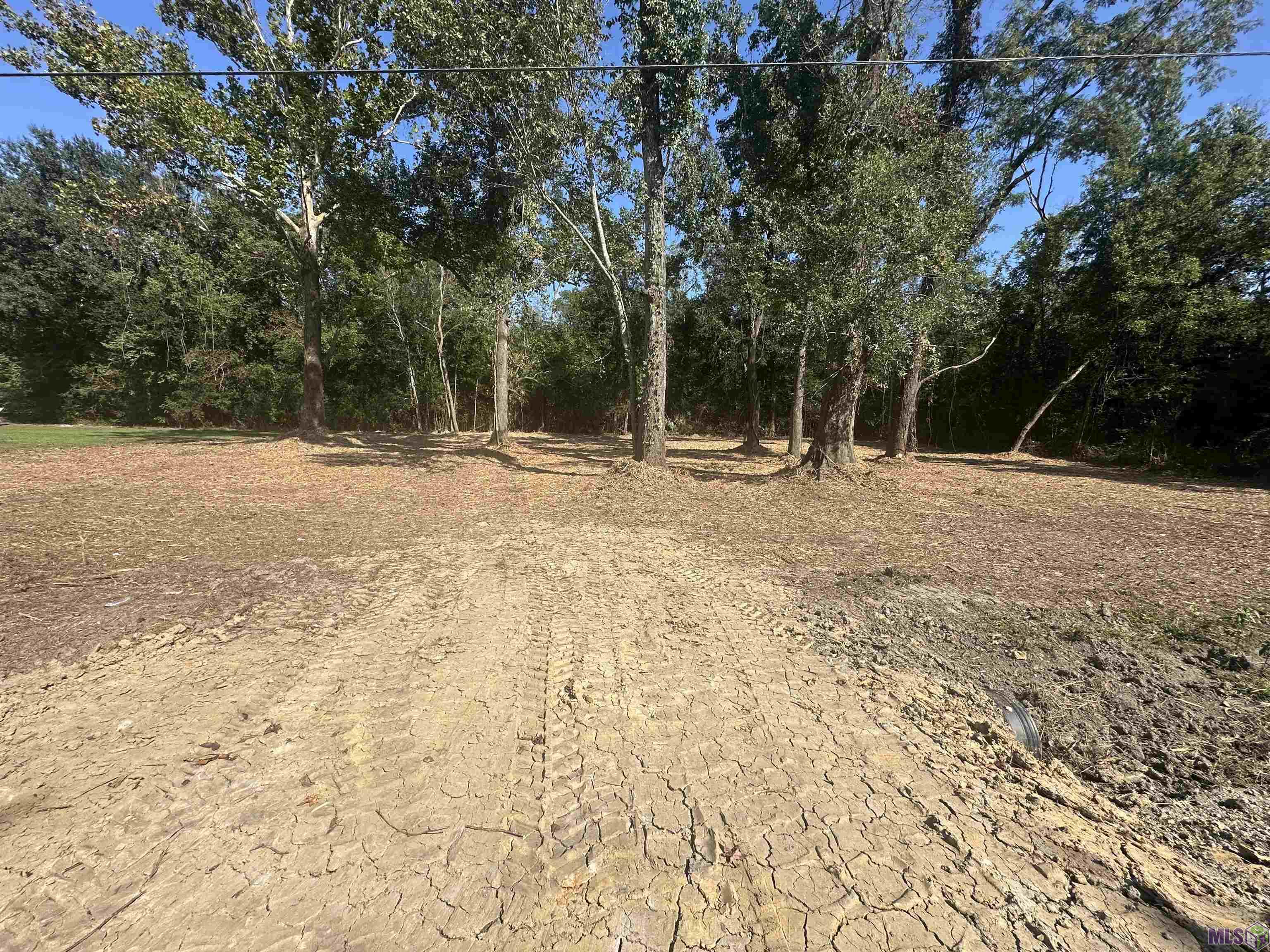 .53-acres Split Log Road St. Amant, LA 70774 - Photo 6 of 15