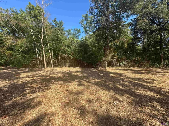 $35,000 | .53-acres Split Log Road, St. Amant, LA 70774
