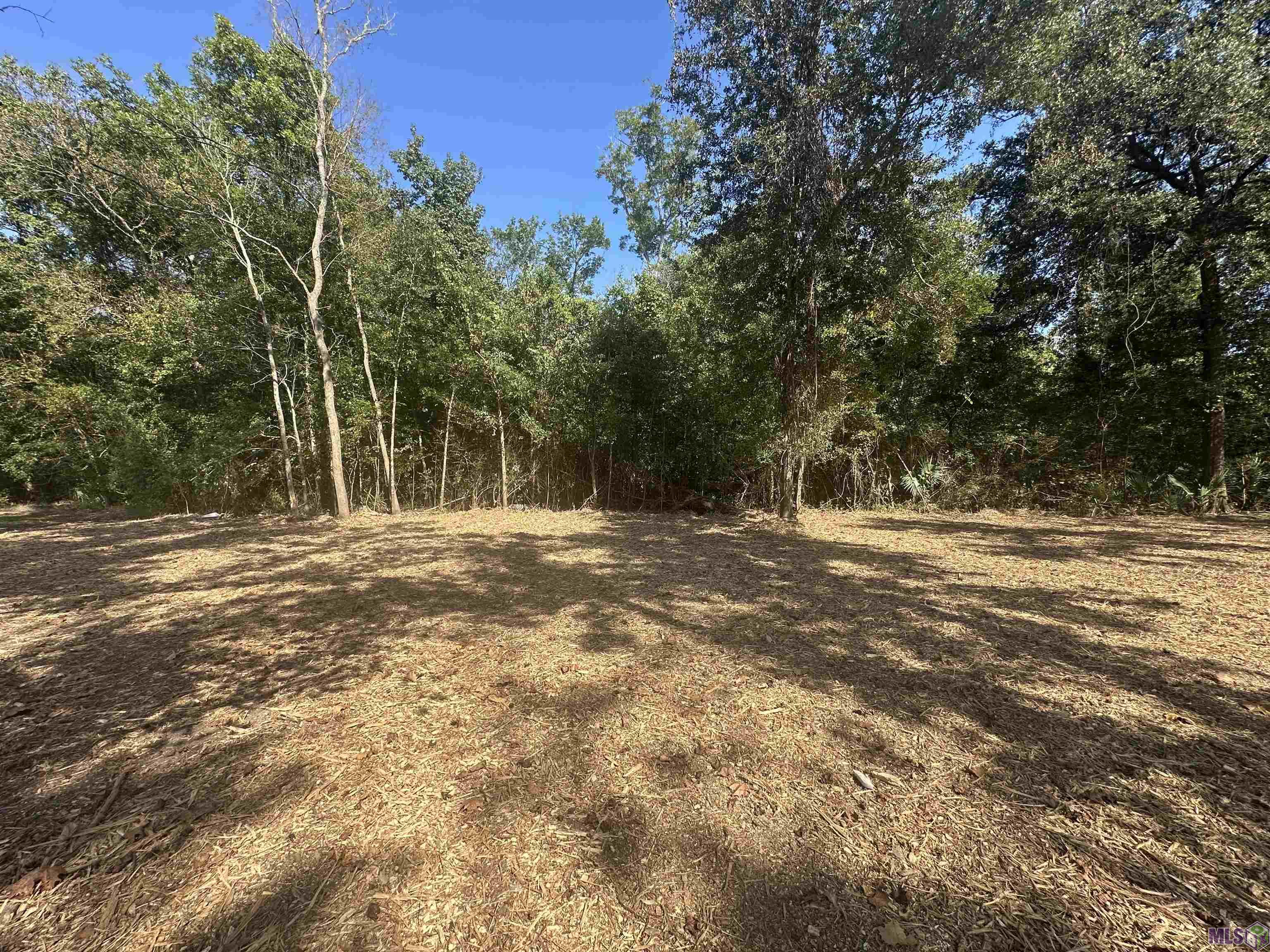 .53-acres Split Log Road St. Amant, LA 70774 - Photo 7 of 15