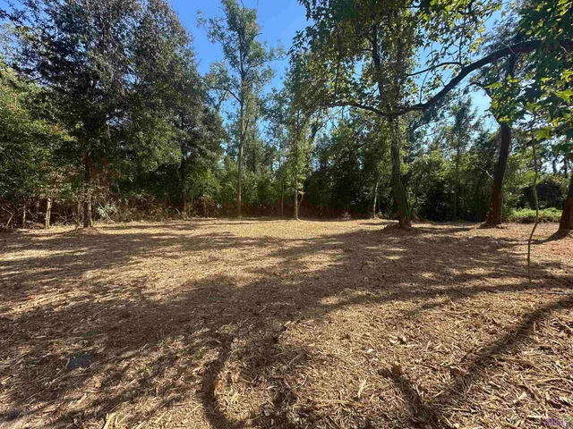 $35,000 | .53-acres Split Log Road, St. Amant, LA 70774