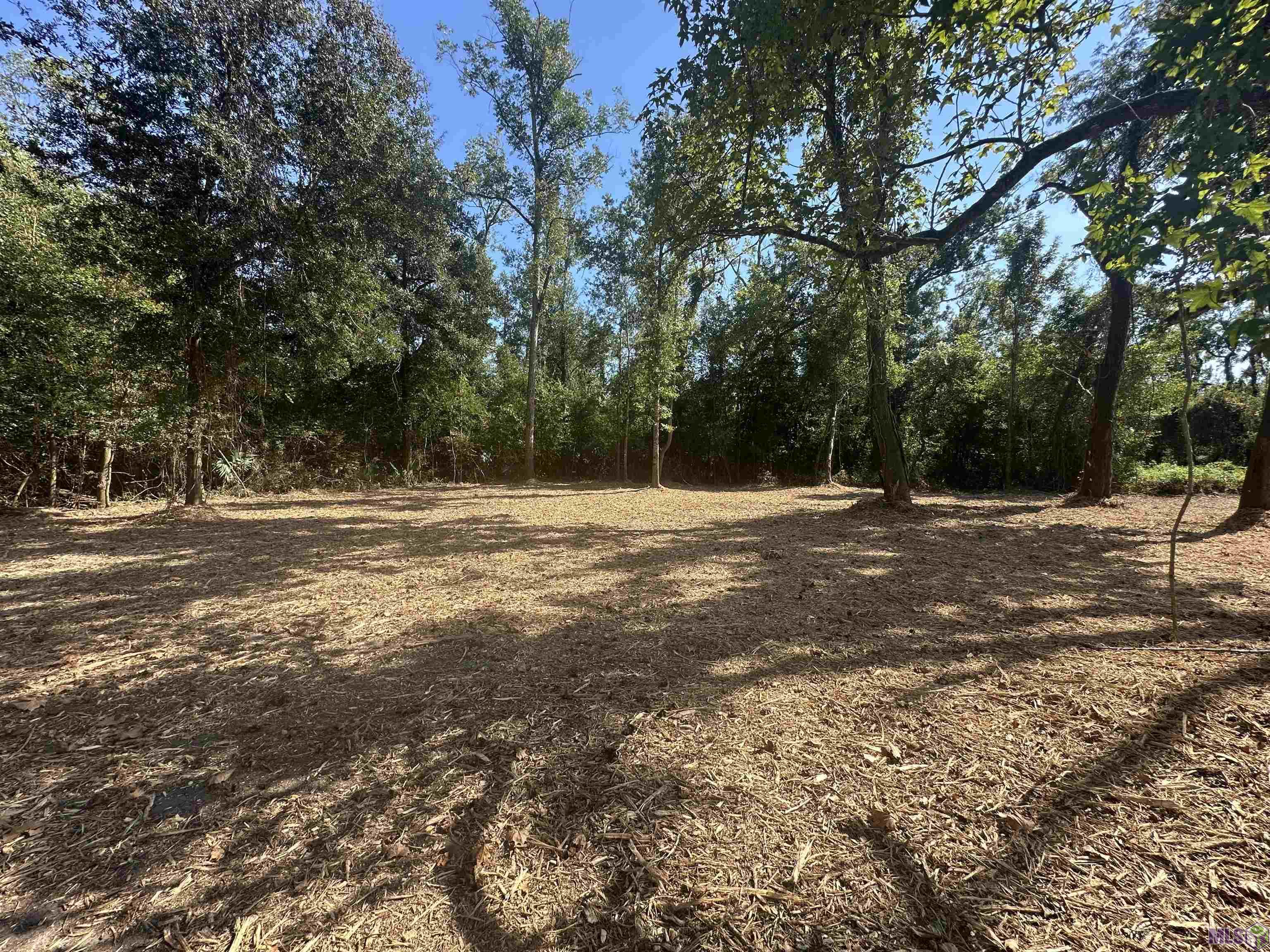 .53-acres Split Log Road St. Amant, LA 70774 - Photo 8 of 15