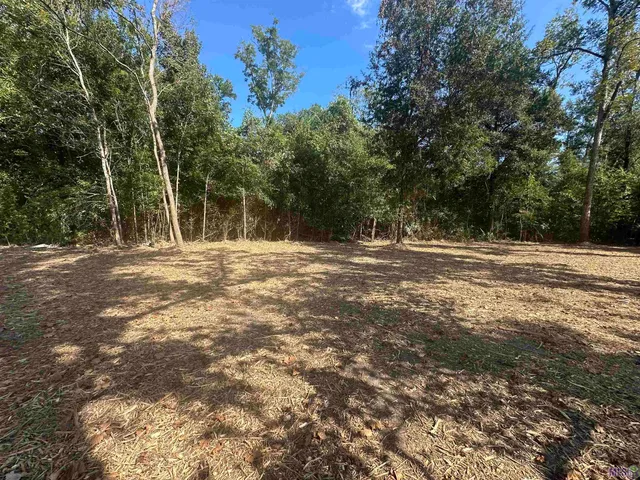 $35,000 | .53-acres Split Log Road, St. Amant, LA 70774