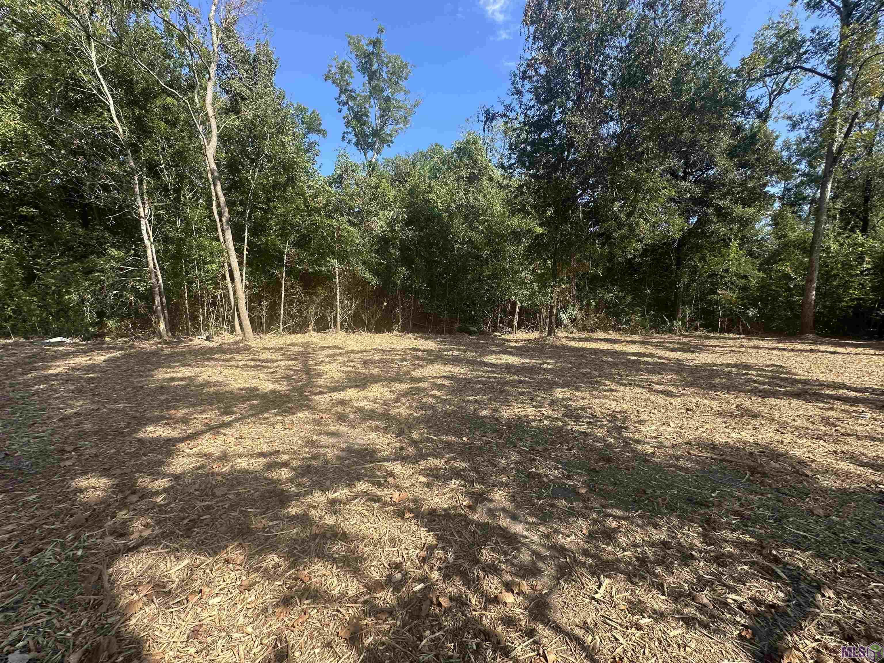 .53-acres Split Log Road St. Amant, LA 70774 - Photo 9 of 15