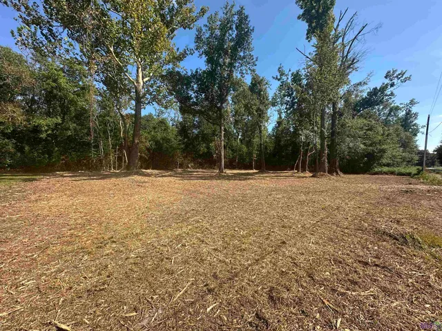 $35,000 | .53-acres Split Log Road, St. Amant, LA 70774