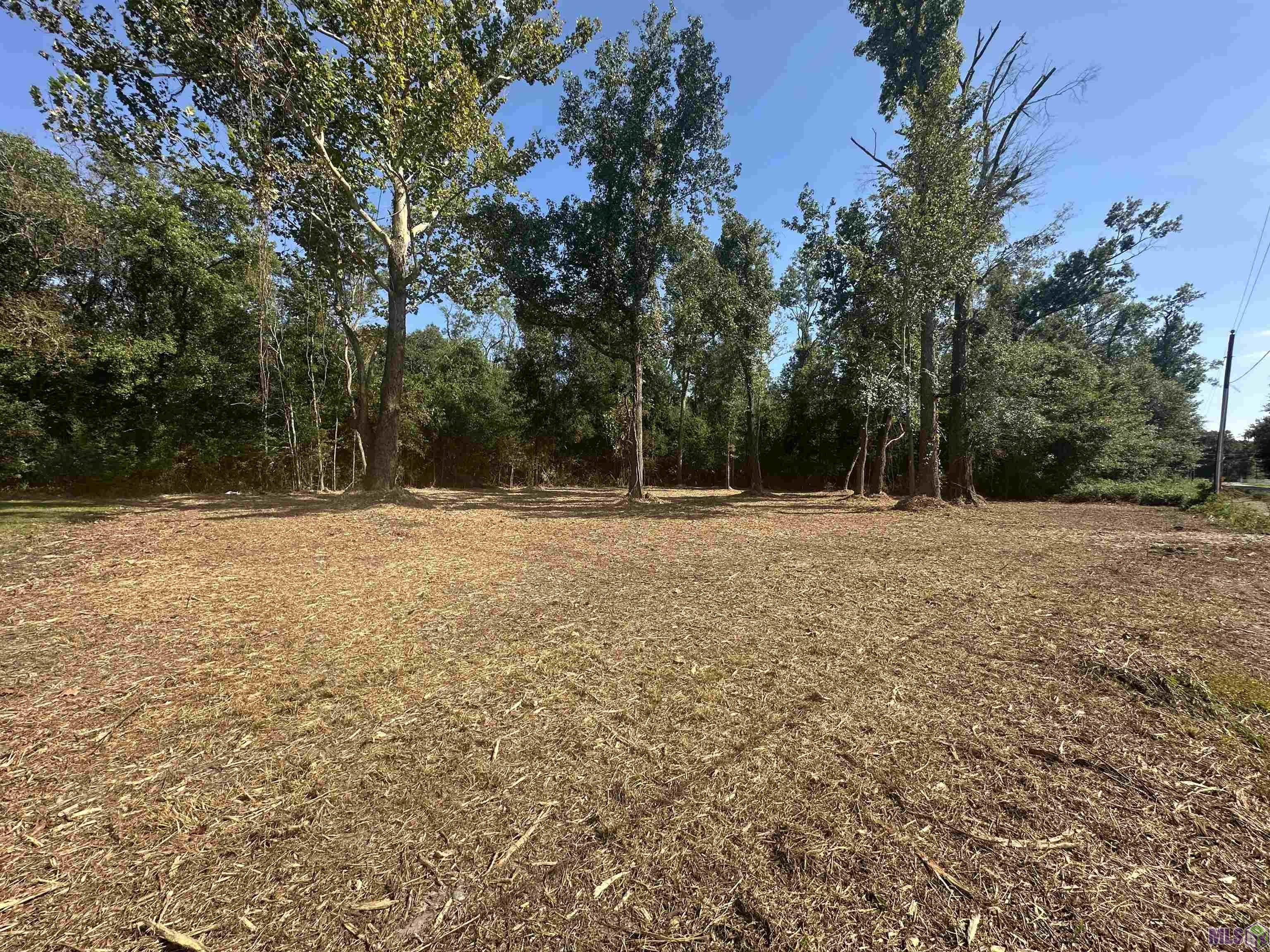 .53-acres Split Log Road St. Amant, LA 70774 - Photo 10 of 15