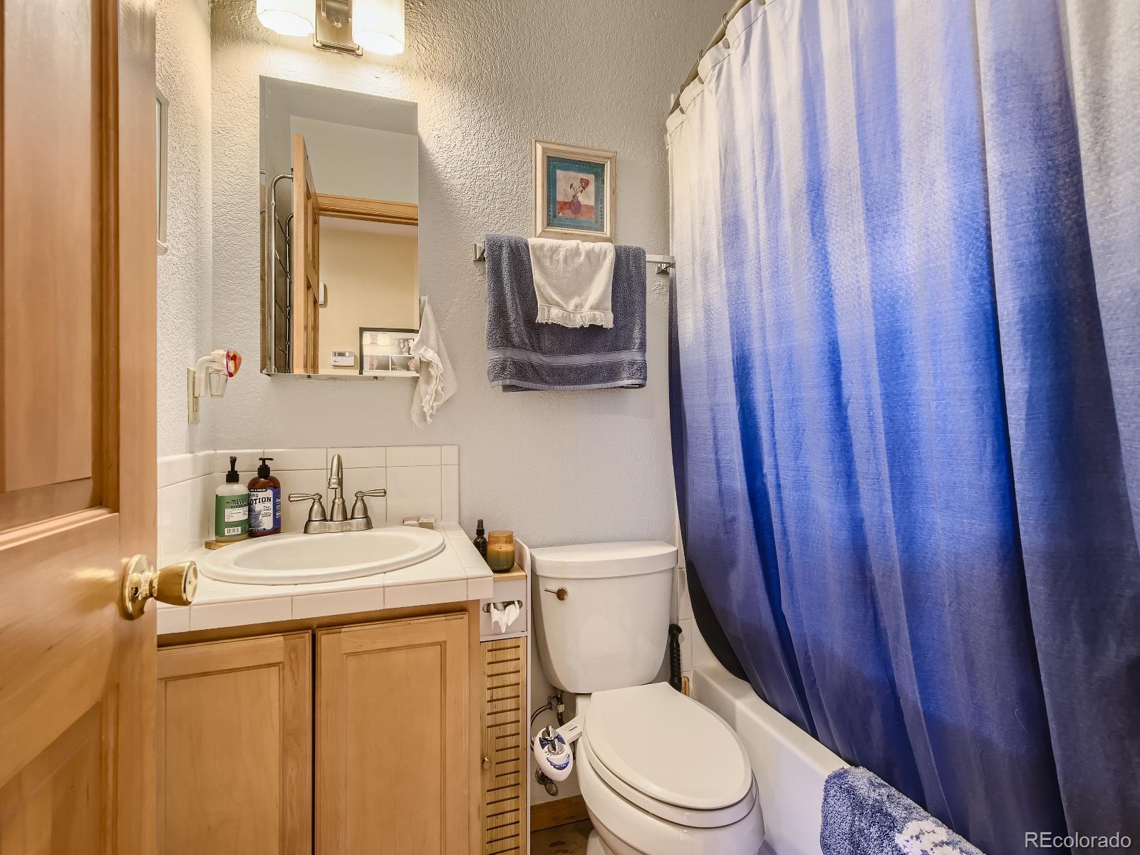 7051 Ski Trail Evergreen, CO 80439 - Photo 12 of 39 a bathroom with a toilet a sink and a mirror