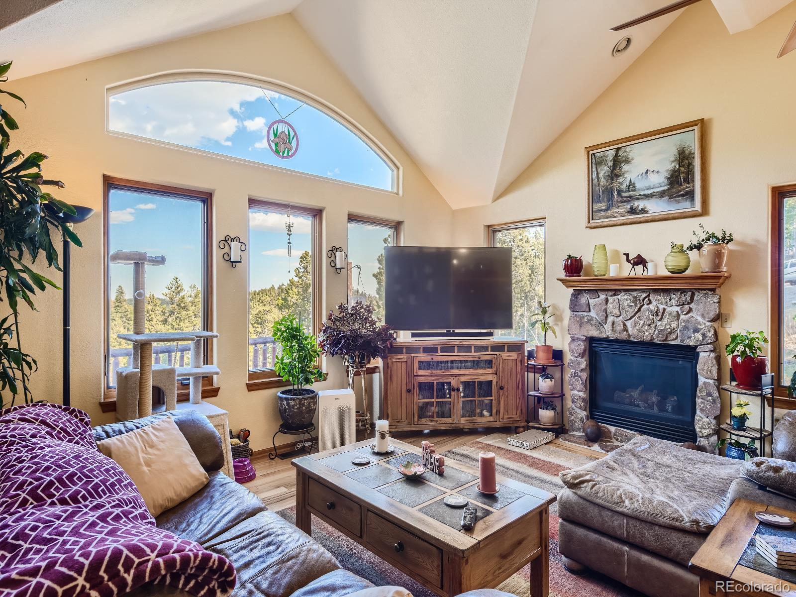 7051 Ski Trail Evergreen, CO 80439 - Photo 5 of 39 a living room with furniture a flat screen tv and a fireplace