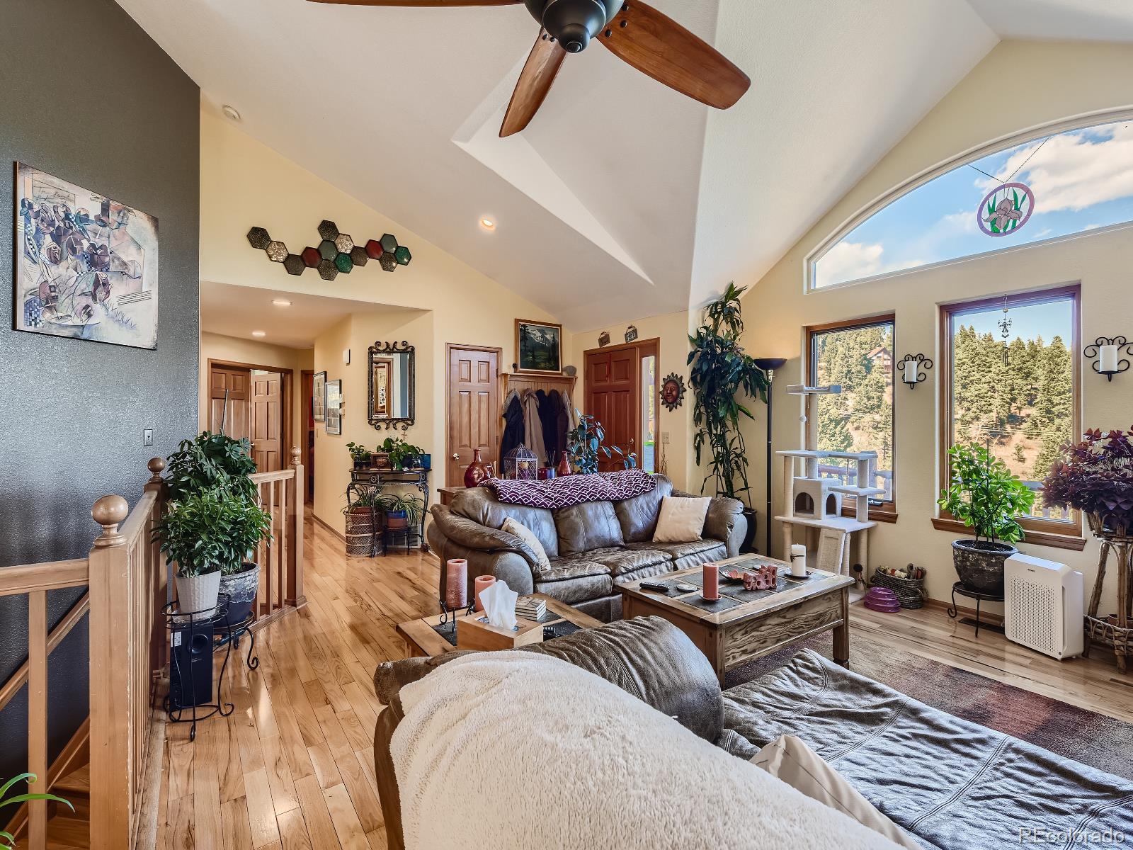 7051 Ski Trail Evergreen, CO 80439 - Photo 10 of 39 a living room with furniture potted plant and a large window