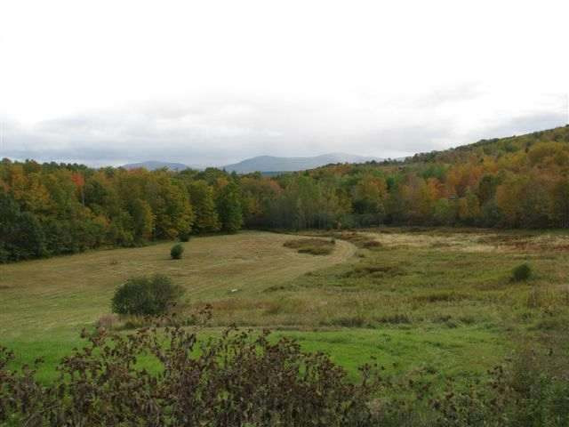 768 Cheese Hill Road Rensselaerville, NY 12469 - Photo 3 of 12 Photo 3