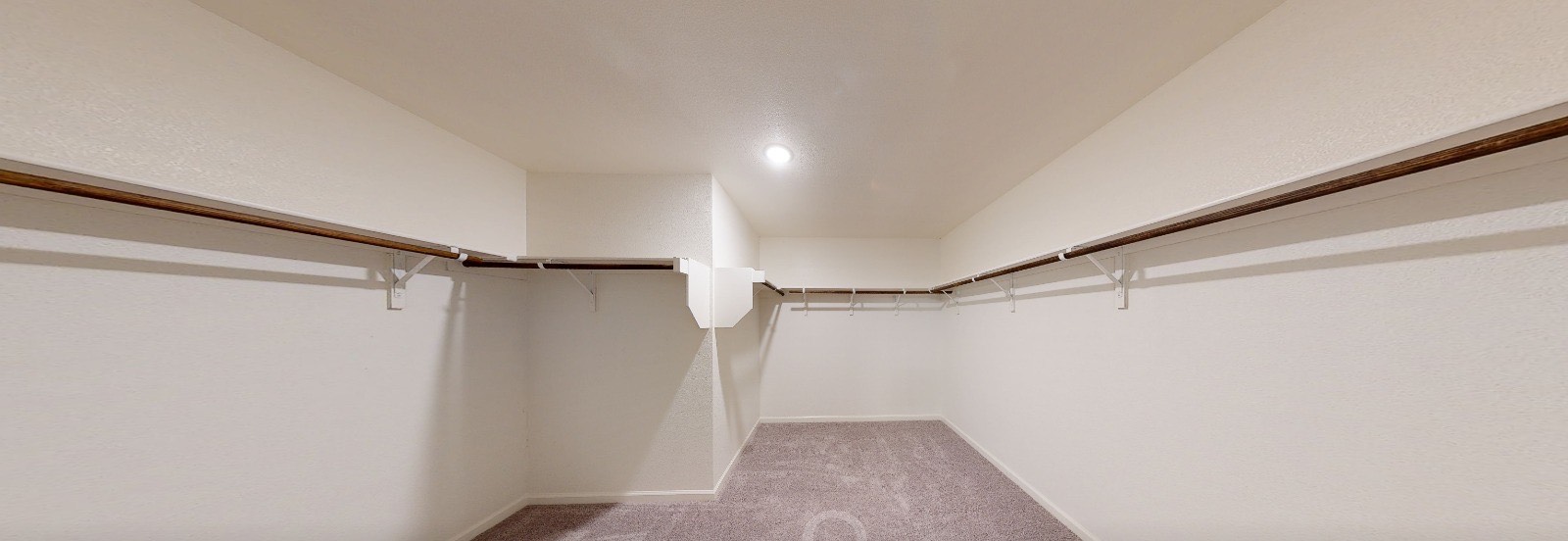 384 Enforcer Loop Jarrell, TX 76537 - Photo 10 of 15 Spacious closet featuring light carpet
