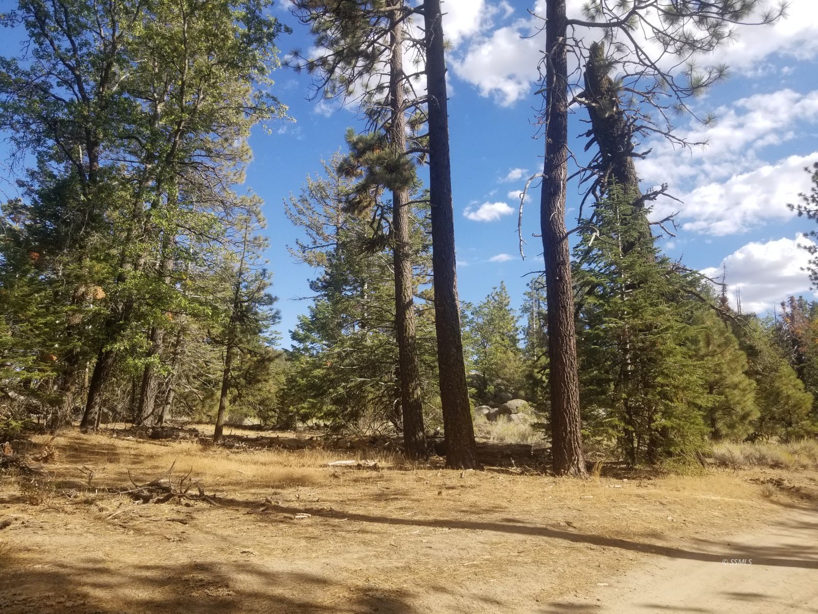Piute Pines Caliente, CA 93518 - Photo 19 of 26